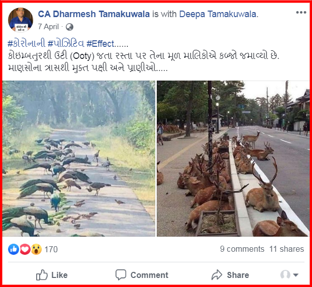 screenshot-www.facebook.com-2020.05.13-18_08_06.png